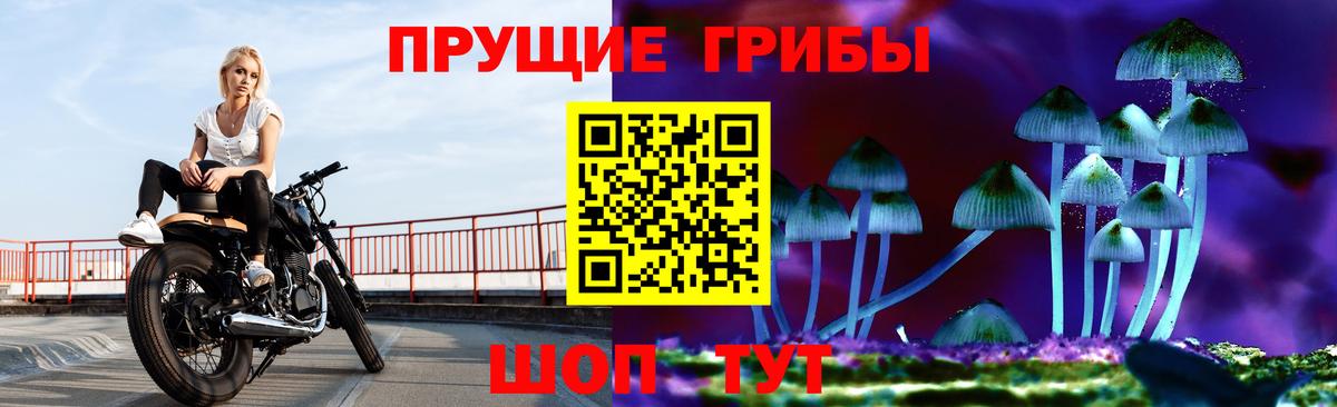 Шали  Галлюциногенные грибы мицелий  Вход с VPN 
